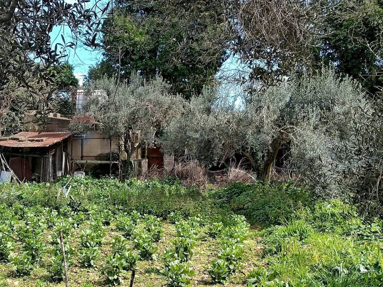 immagine annuncio 11 di 13