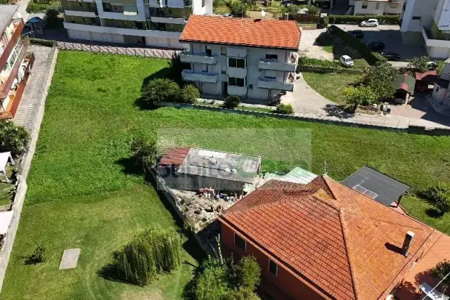 insertion image