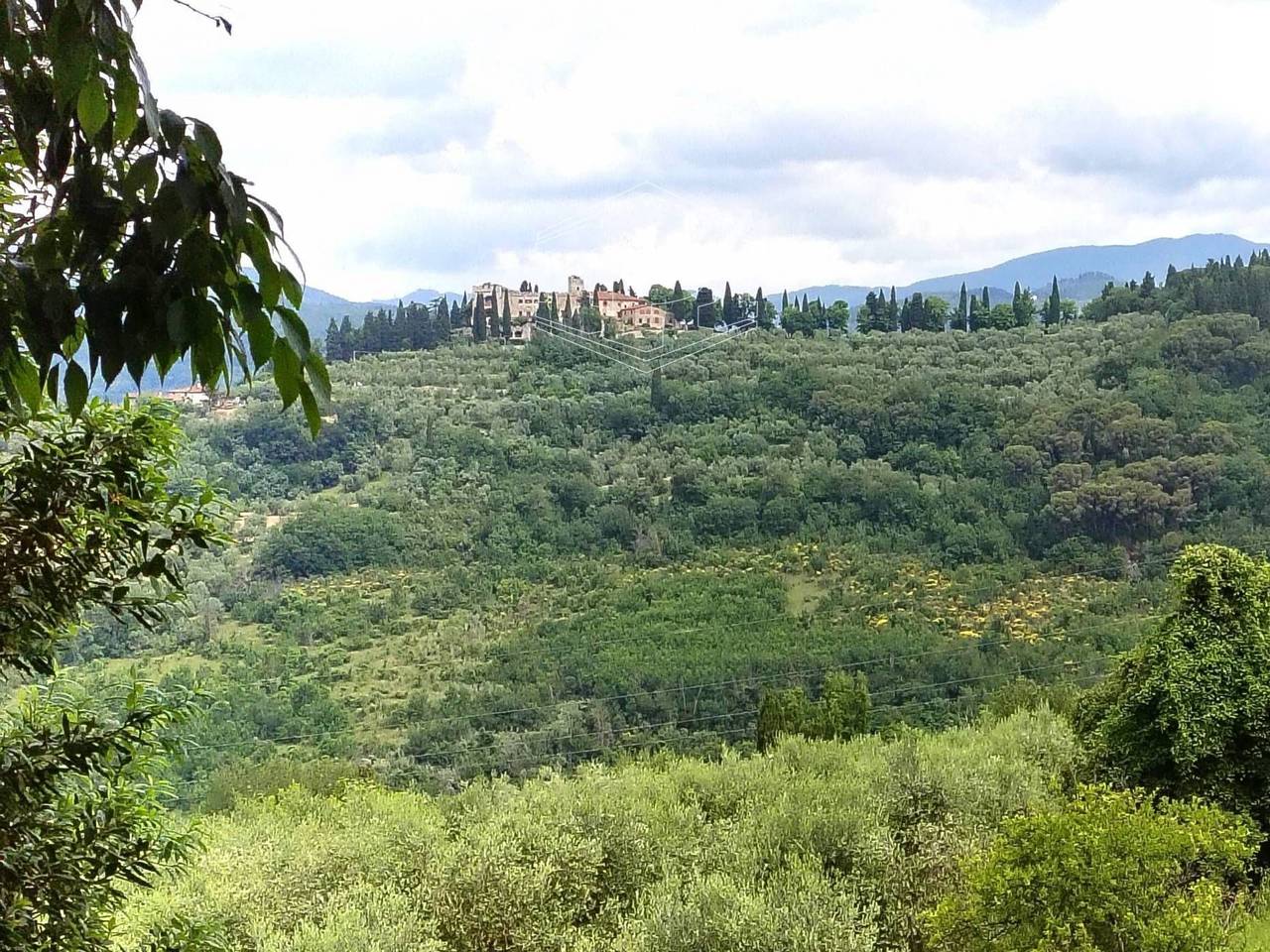 immagine annuncio 1 di 7