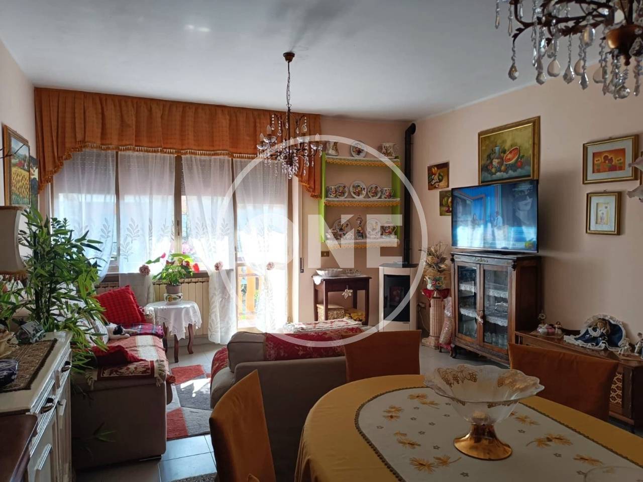 immagine annuncio 1 di 13