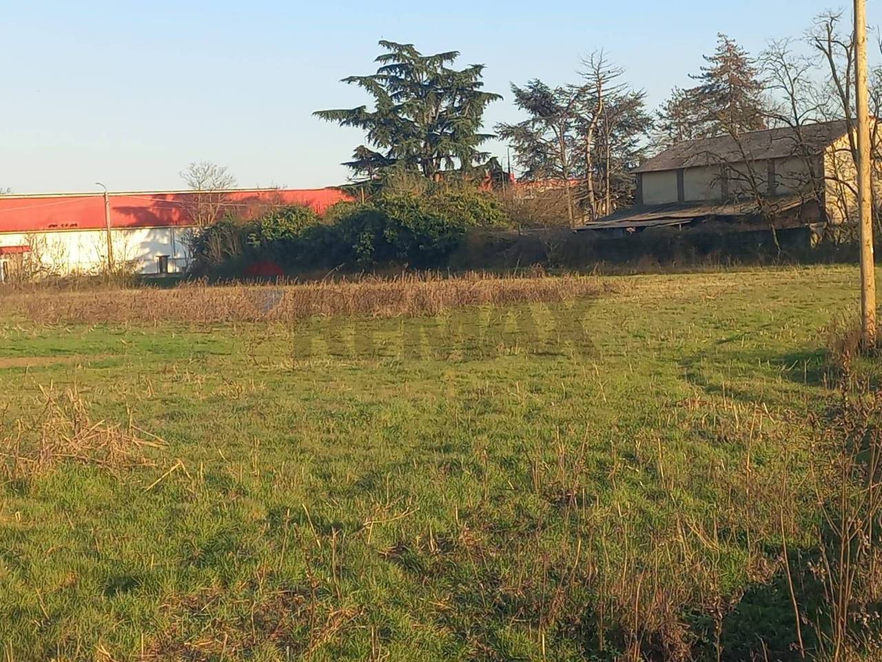 immagine annuncio 10 di 14