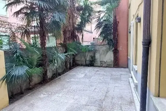 insertion image