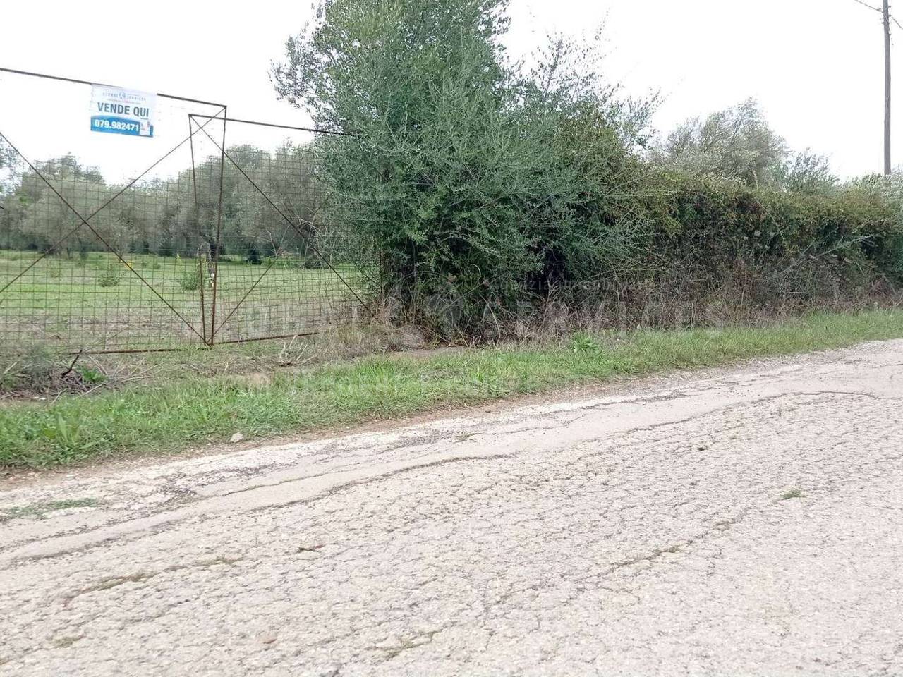 immagine annuncio 12 di 14