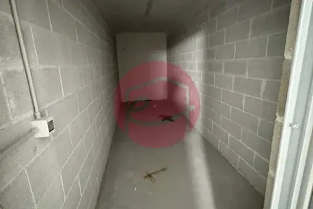 insertion image