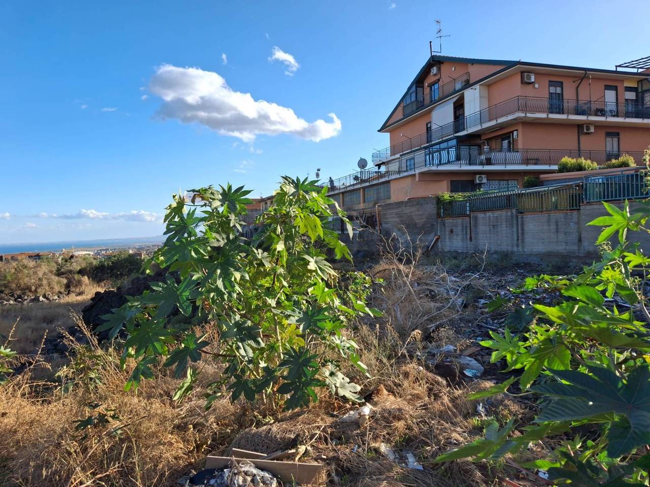 immagine annuncio 8 di 13