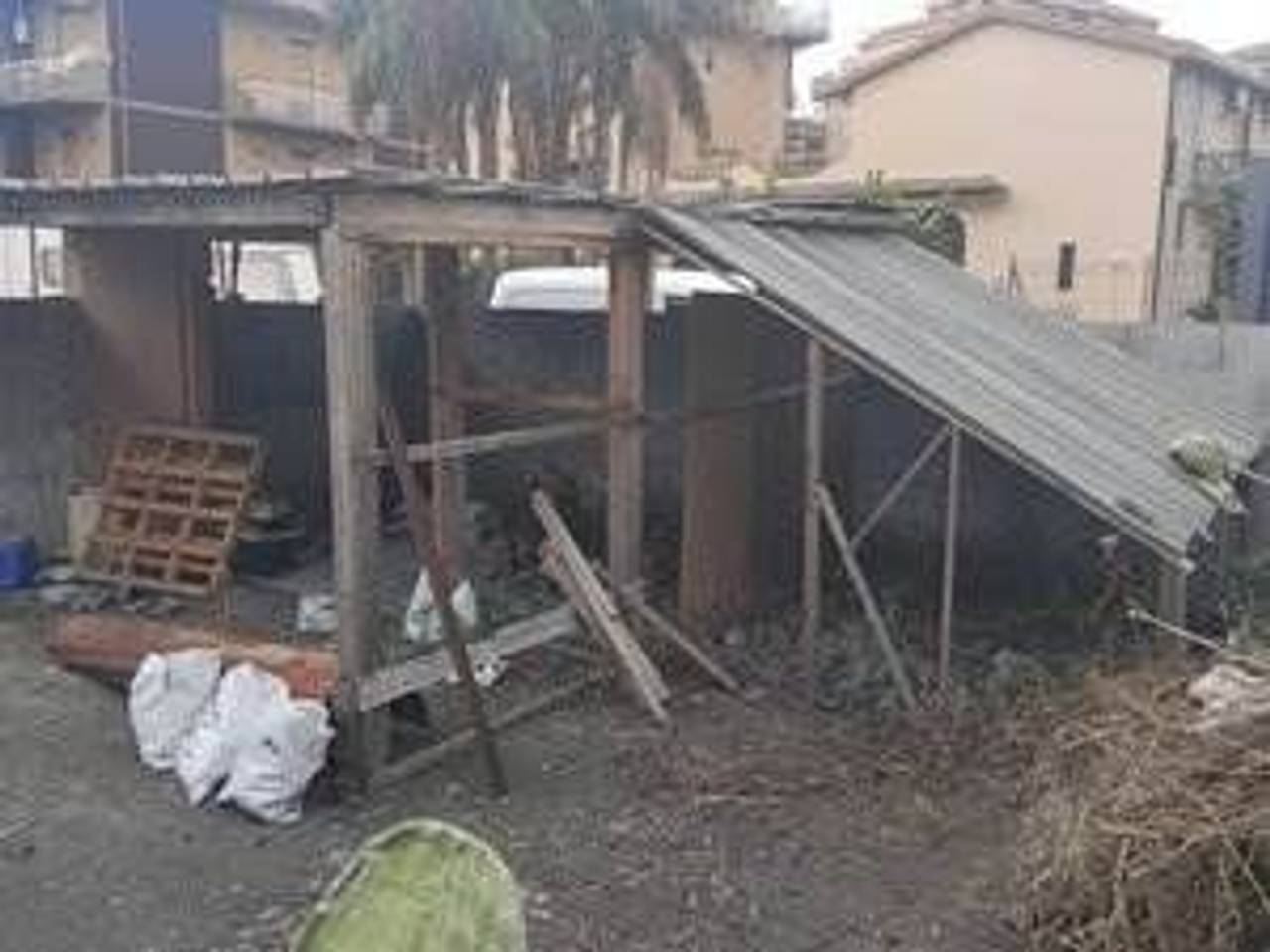 immagine annuncio 5 di 12