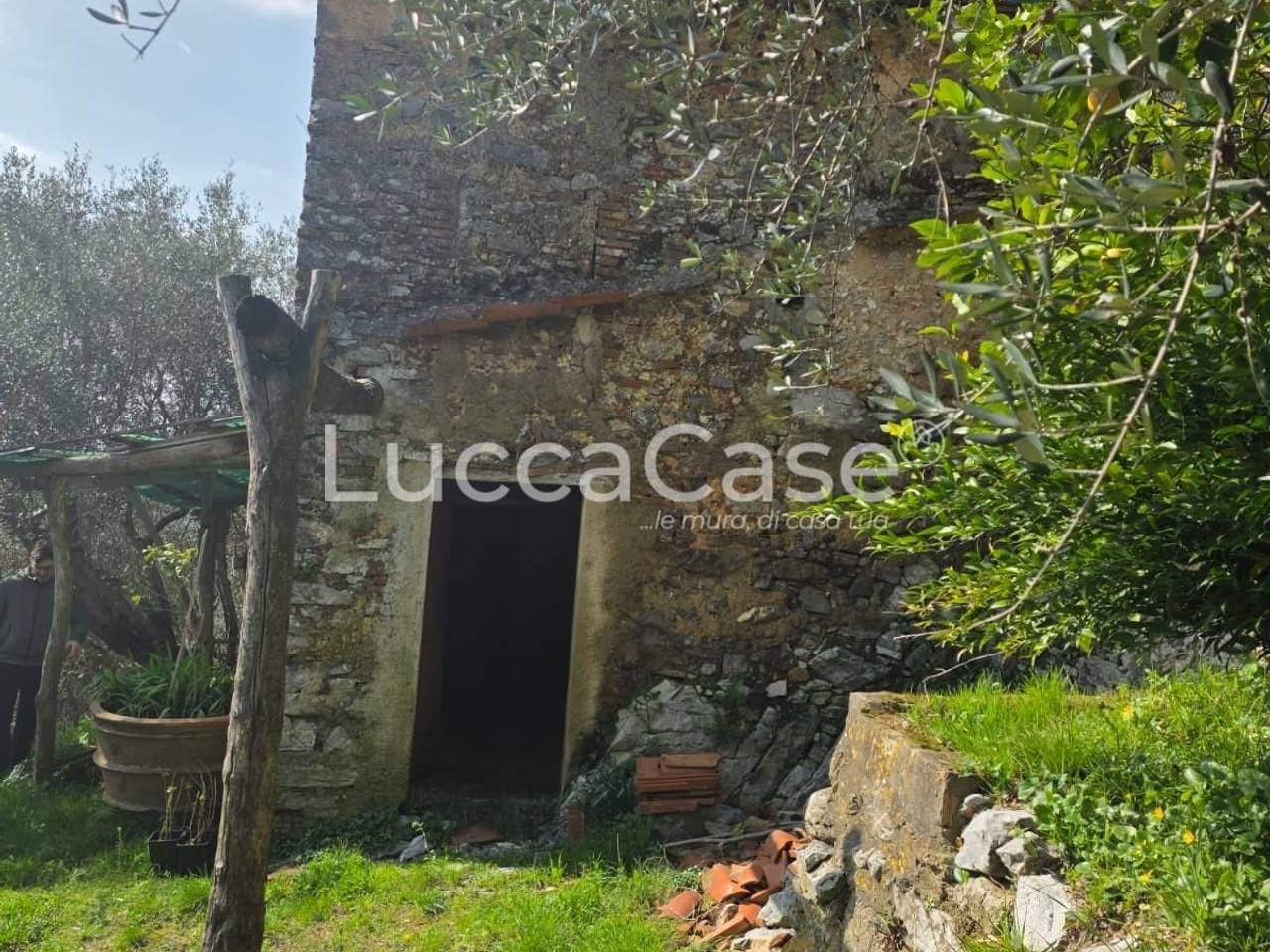 immagine annuncio 10 di 15