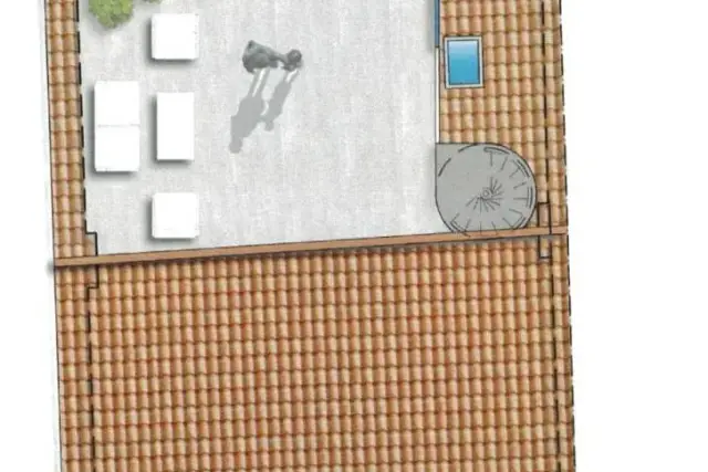 insertion image