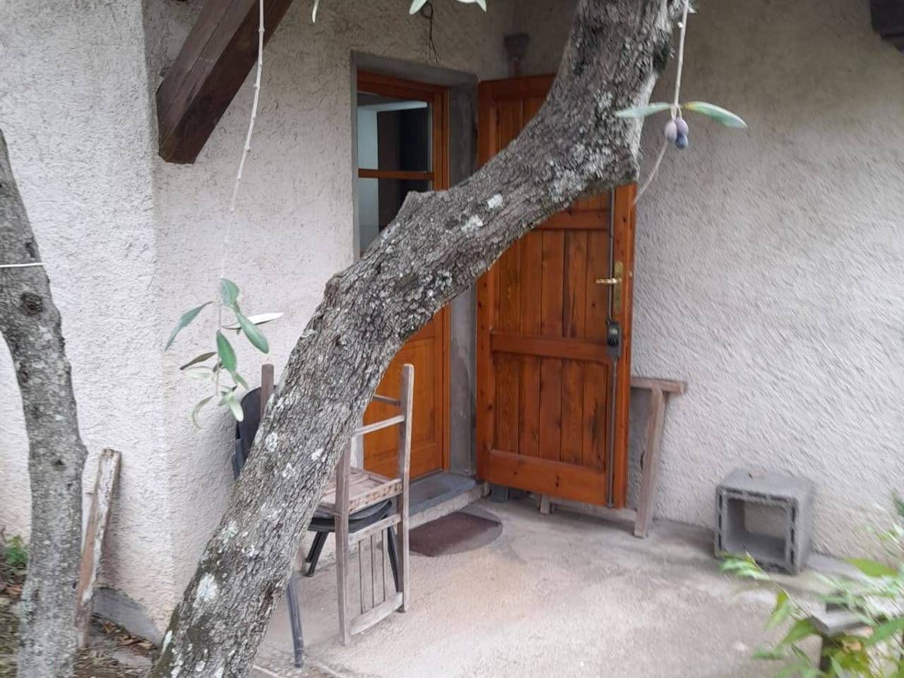 immagine annuncio 3 di 7