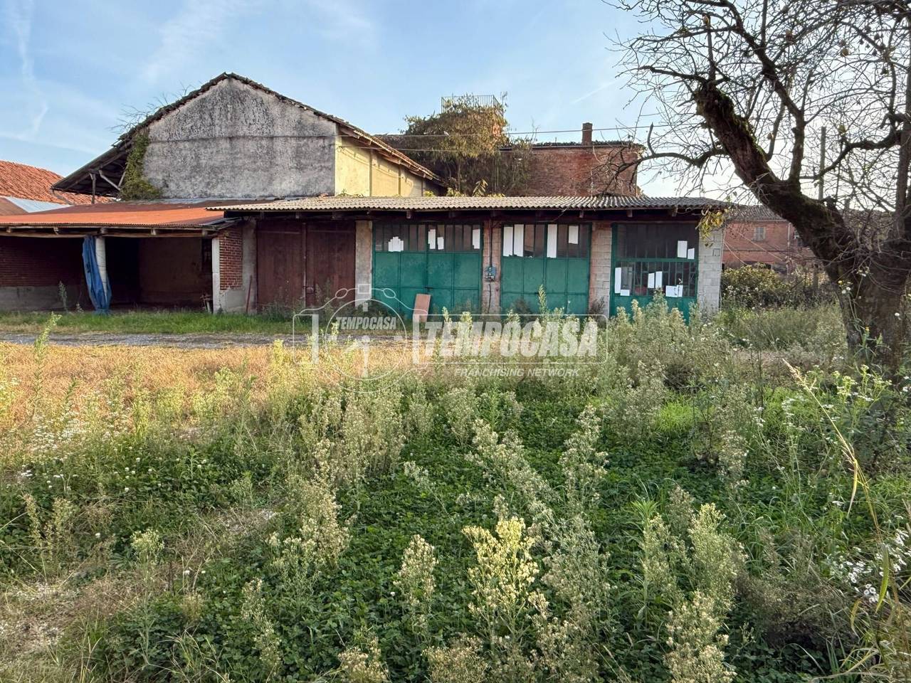 immagine annuncio 5 di 11