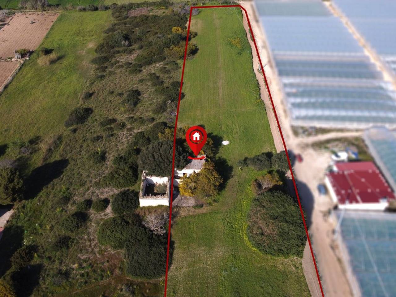 immagine annuncio 9 di 13