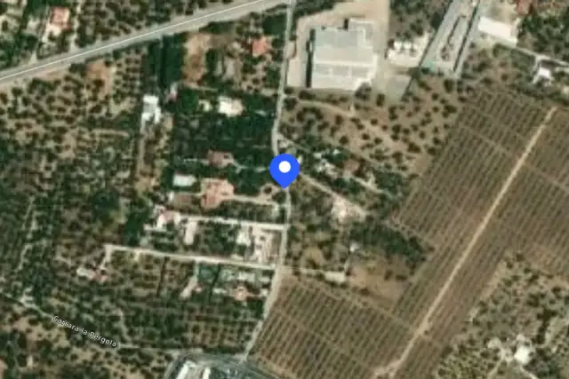insertion image
