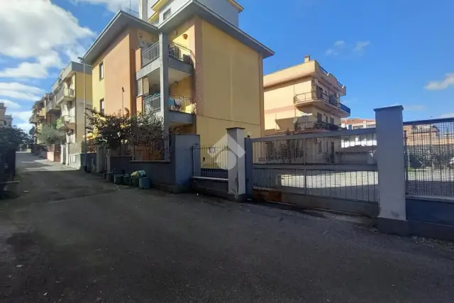 insertion image