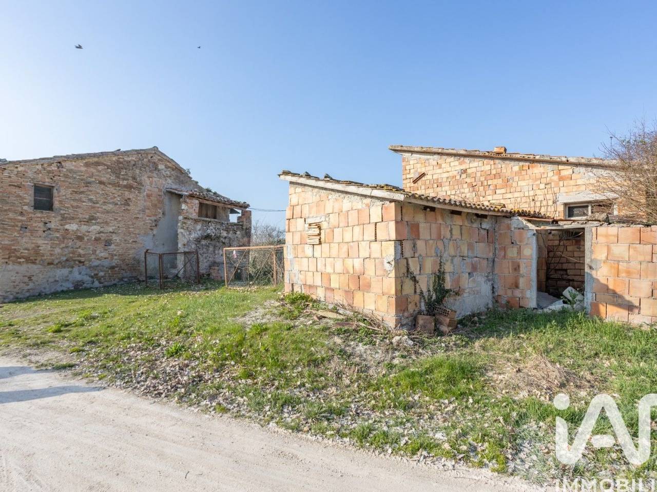 immagine annuncio 11 di 15