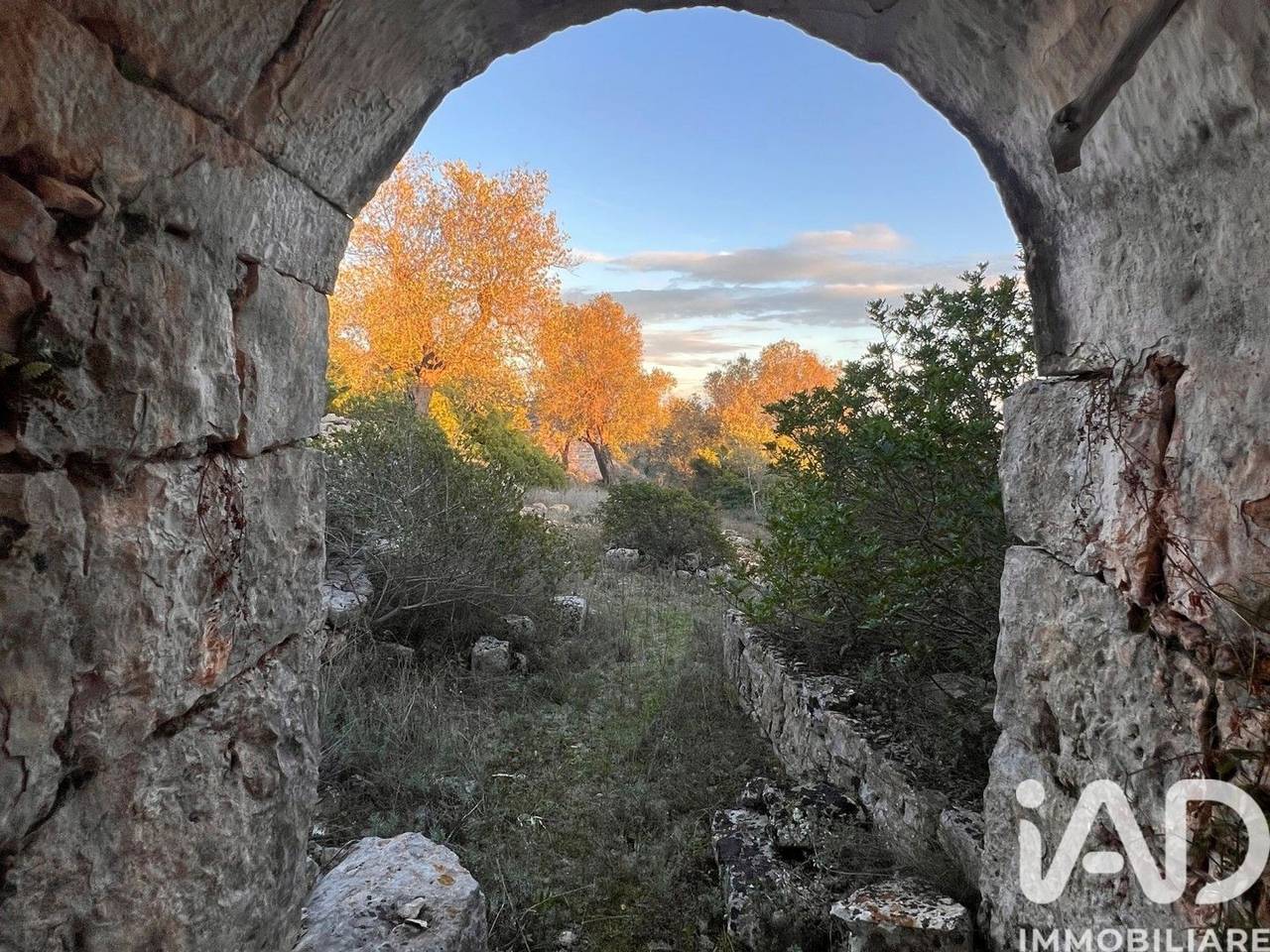 immagine annuncio 5 di 11