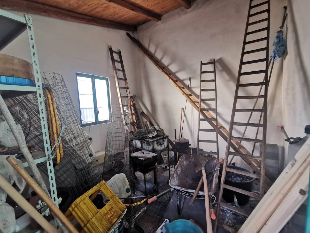 immagine annuncio 8 di 14