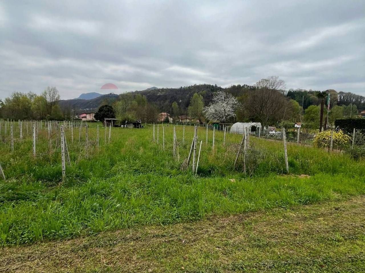 immagine annuncio 2 di 12