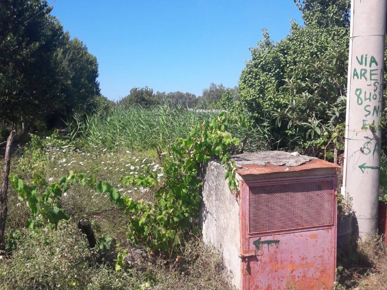 immagine annuncio 4 di 7