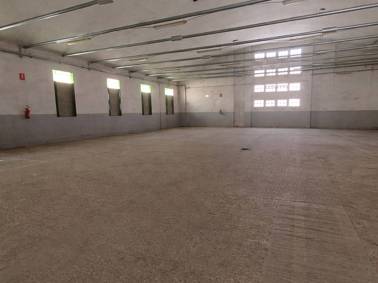 immagine annuncio 1 di 4