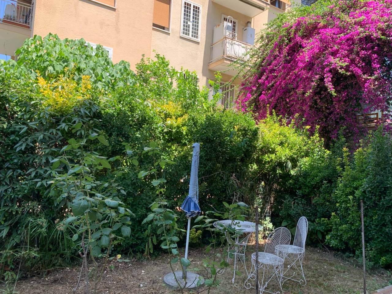 immagine annuncio 3 di 12