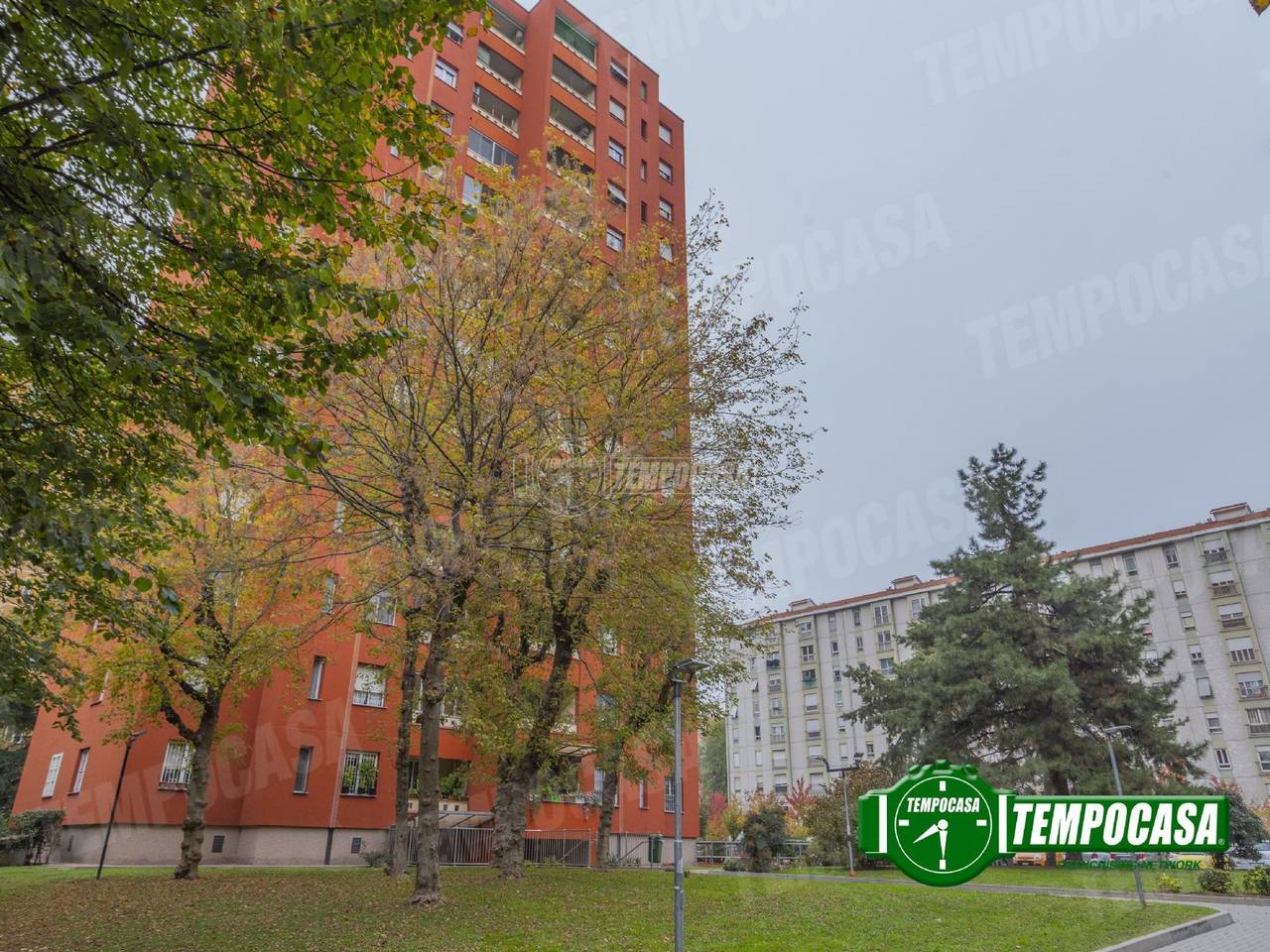 immagine annuncio 11 di 13