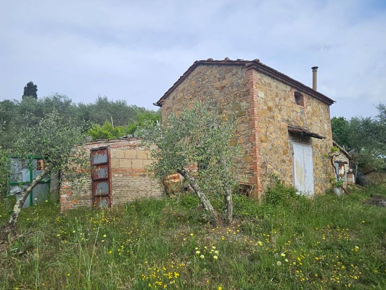 immagine annuncio 12 di 15