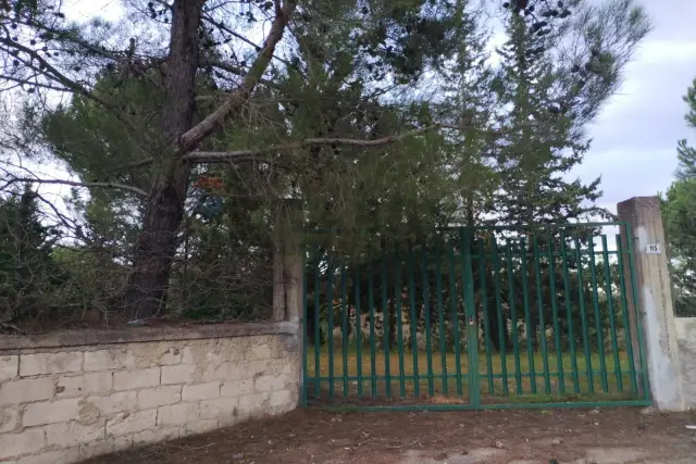 insertion image