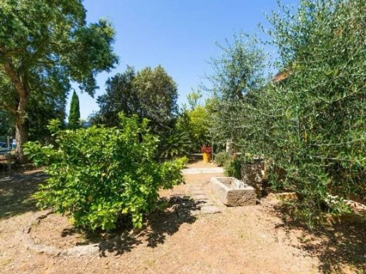 immagine annuncio 3 di 14