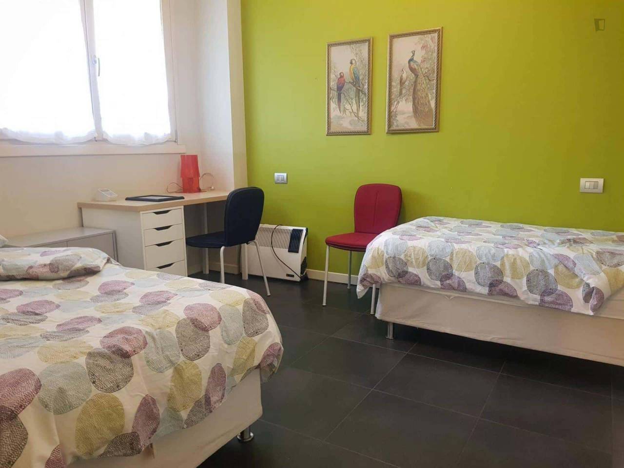 immagine annuncio 7 di 14