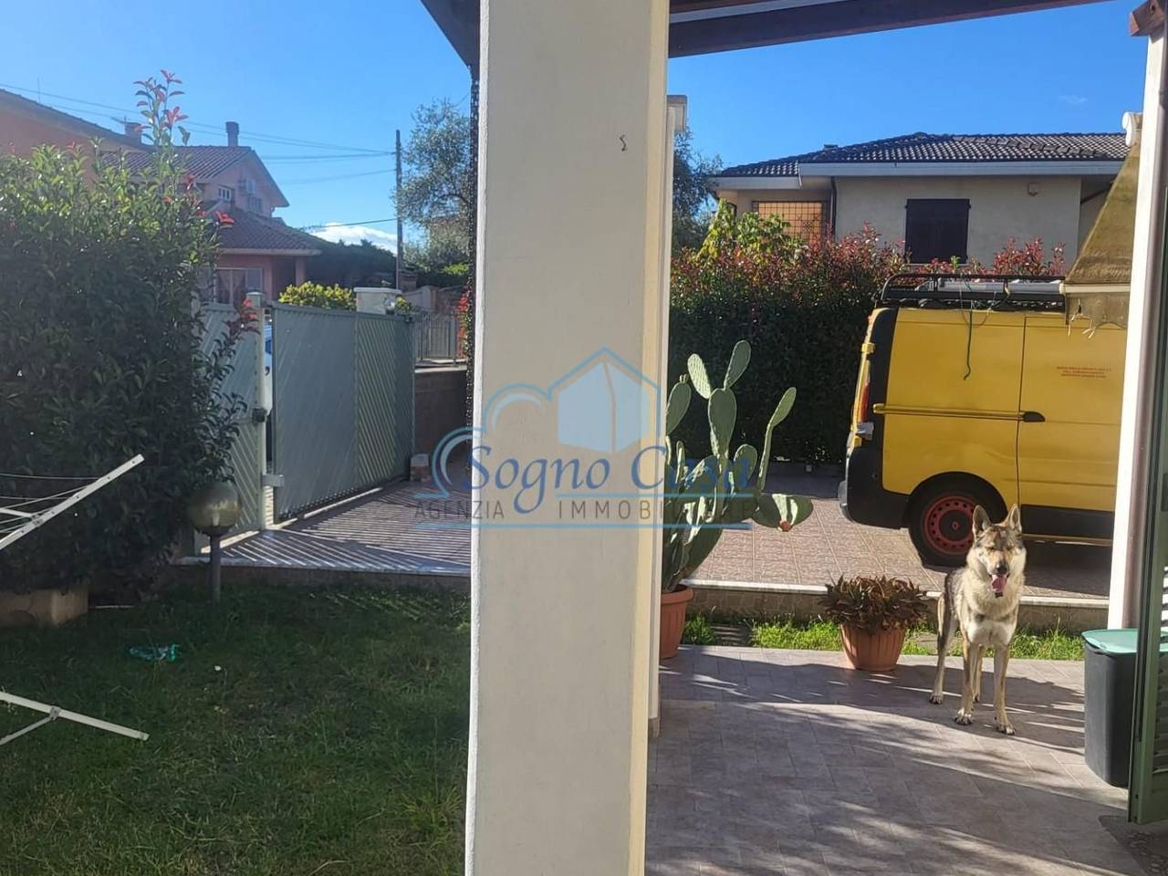 immagine annuncio 2 di 15