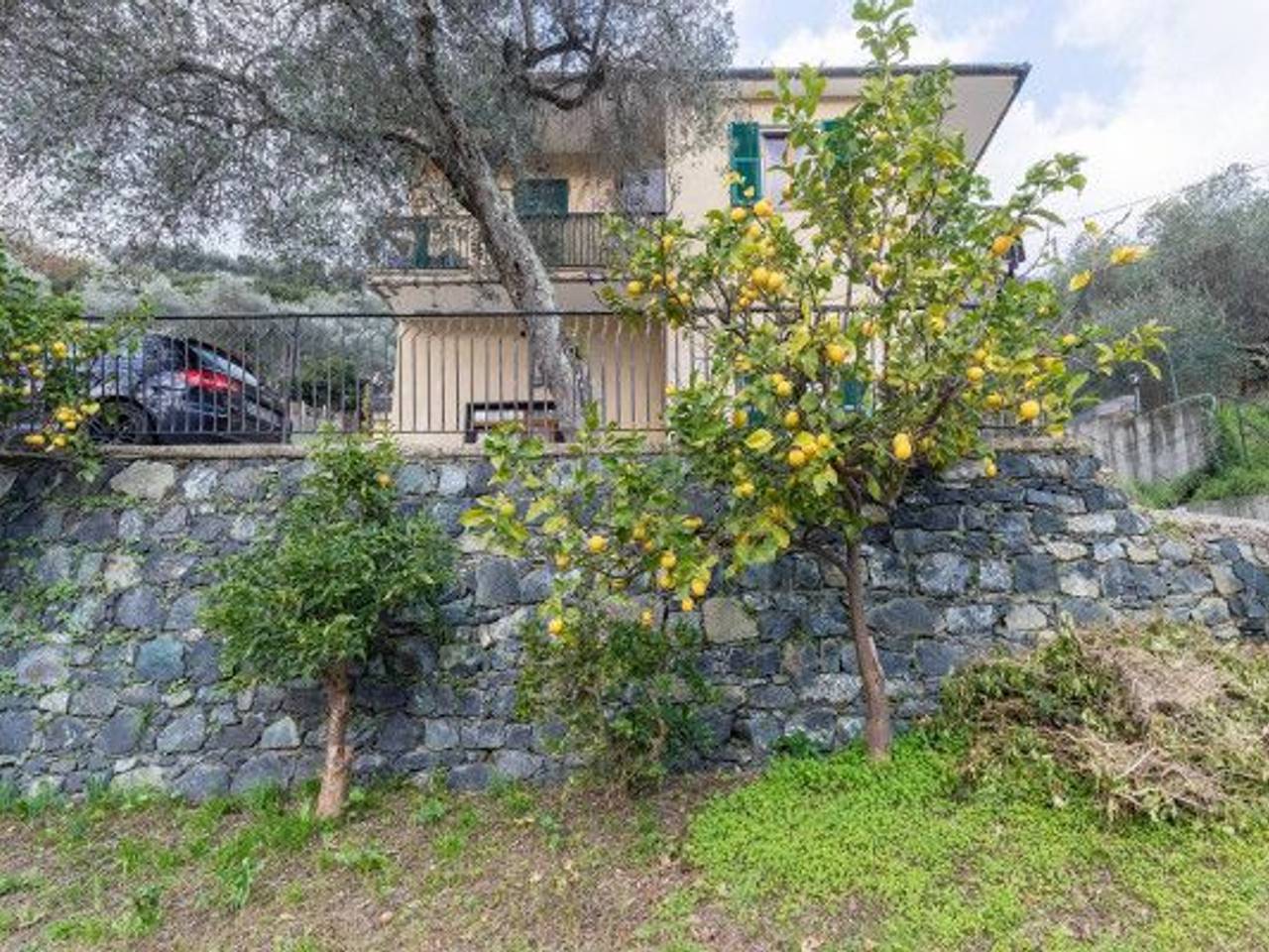 immagine annuncio 1 di 14