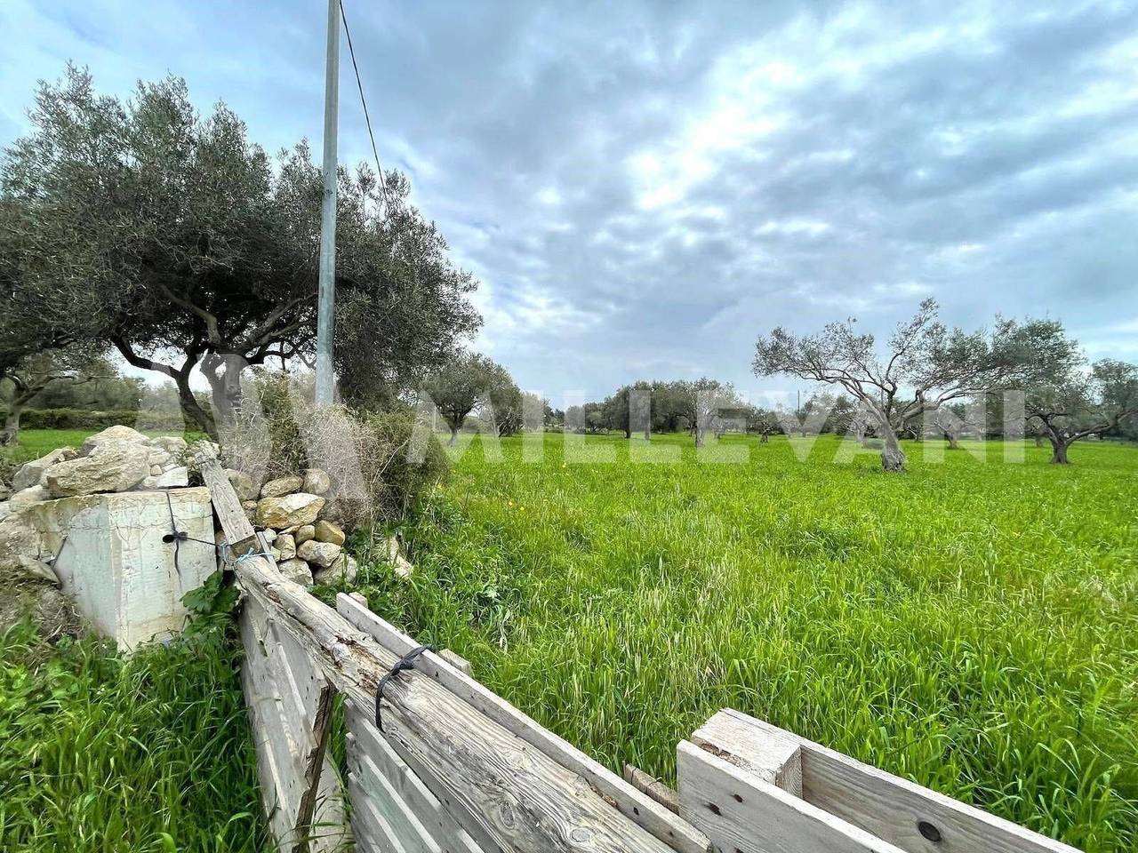 immagine annuncio 10 di 12