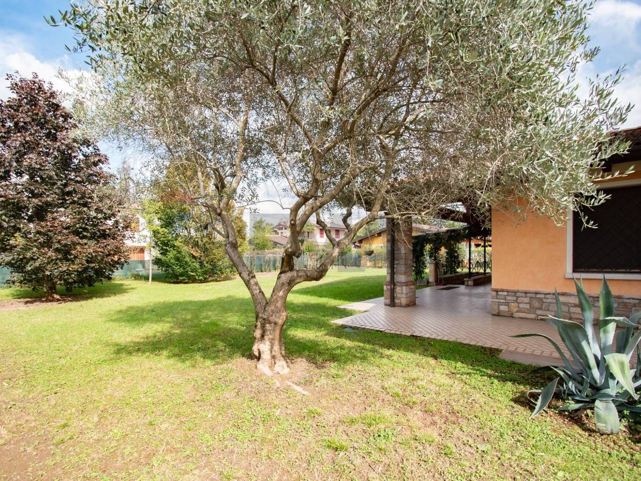 immagine annuncio 5 di 15