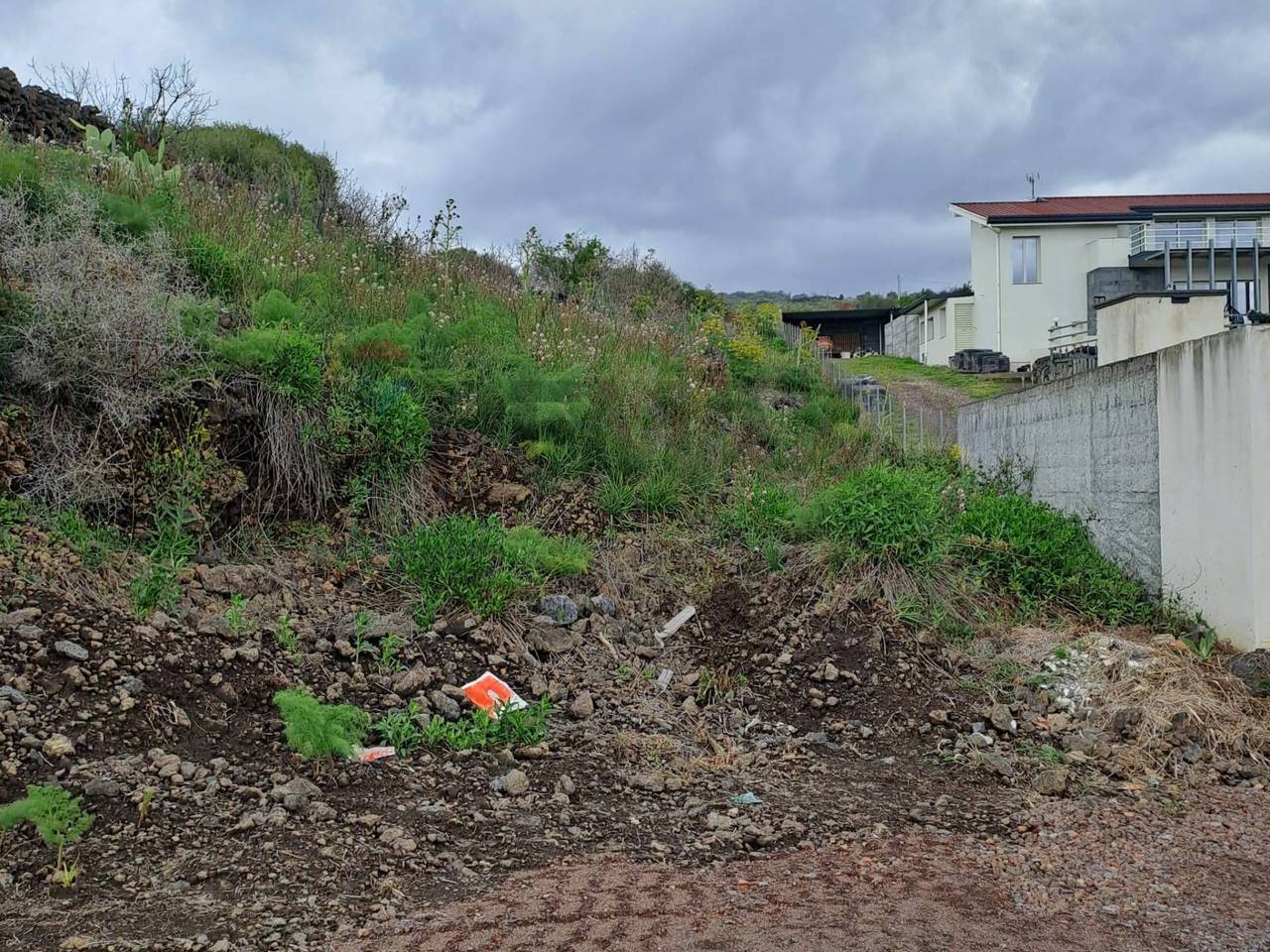 immagine annuncio 2 di 6