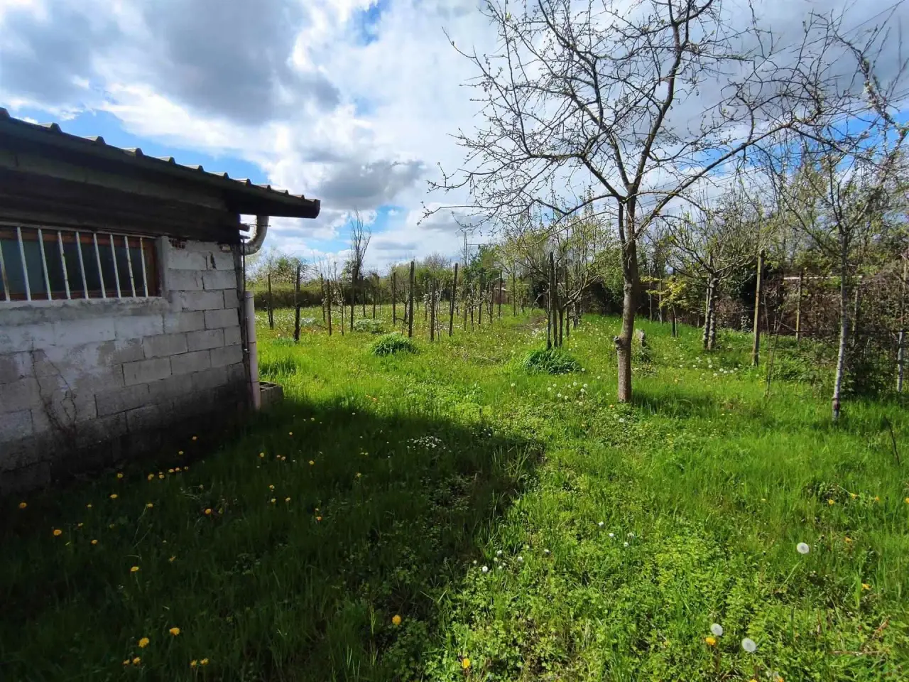 Magazzino in  Portogruaro, Portogruaro, {3} - Foto 2