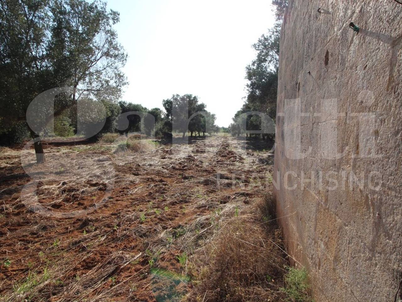 immagine annuncio 6 di 8