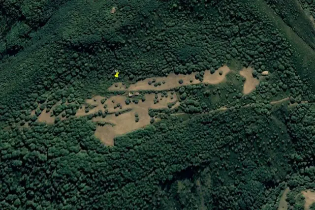 insertion image