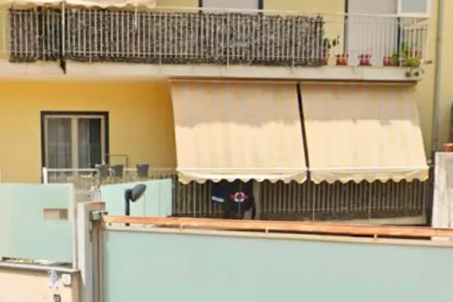 insertion image
