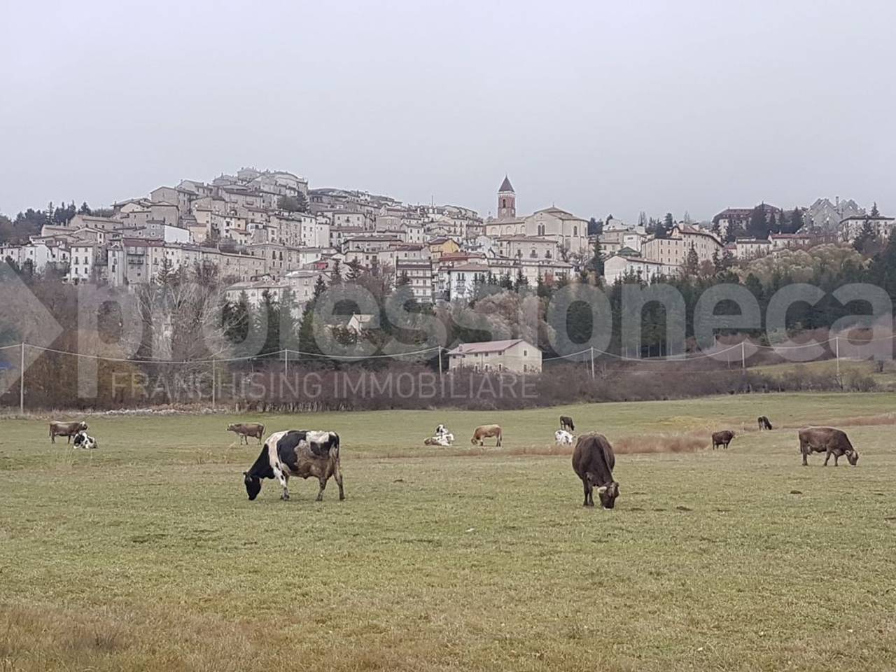 immagine annuncio 6 di 8