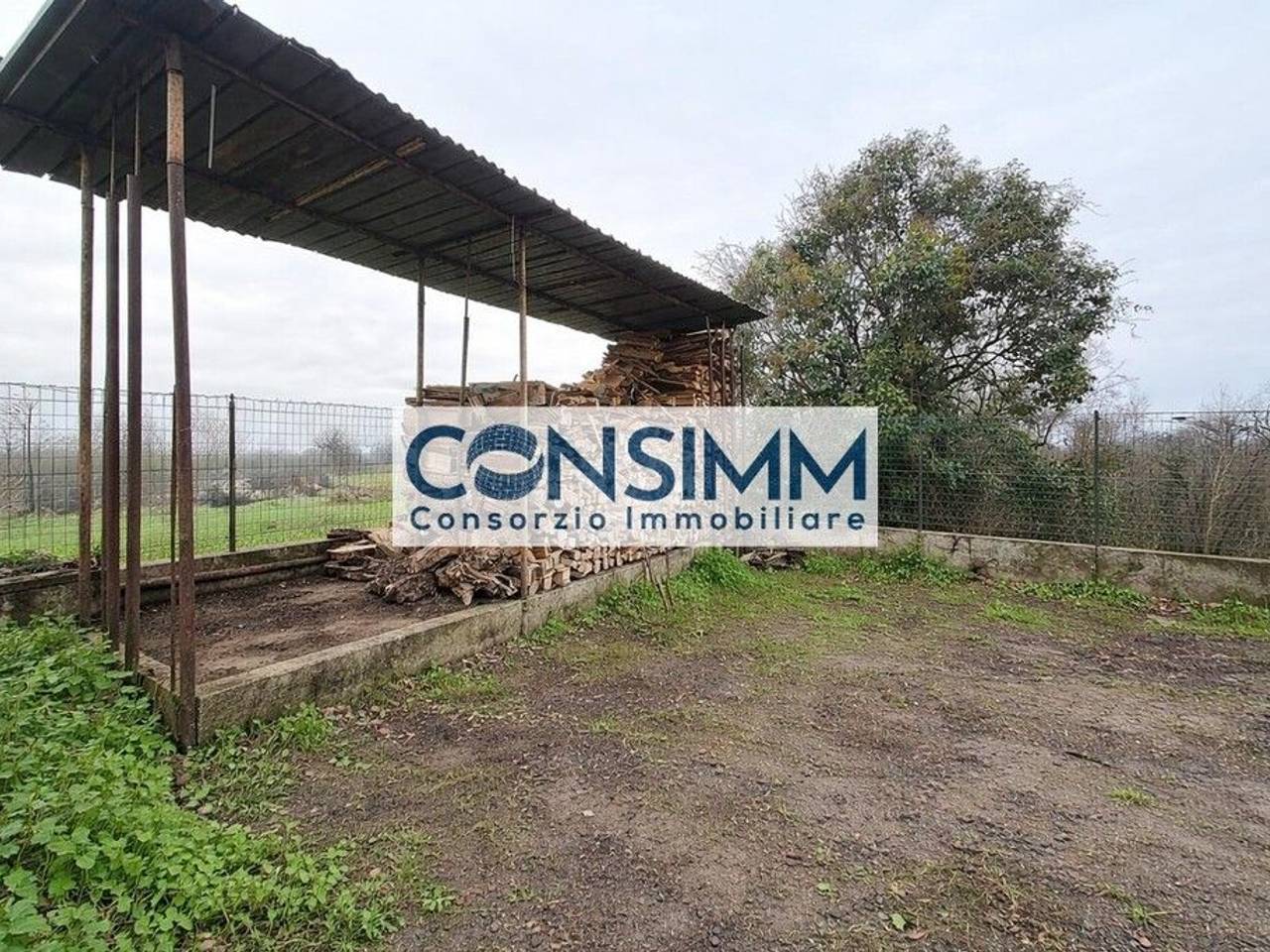 immagine annuncio 4 di 12
