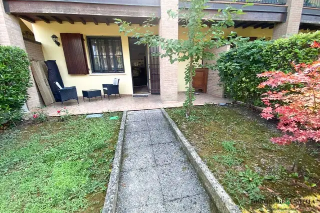 insertion image