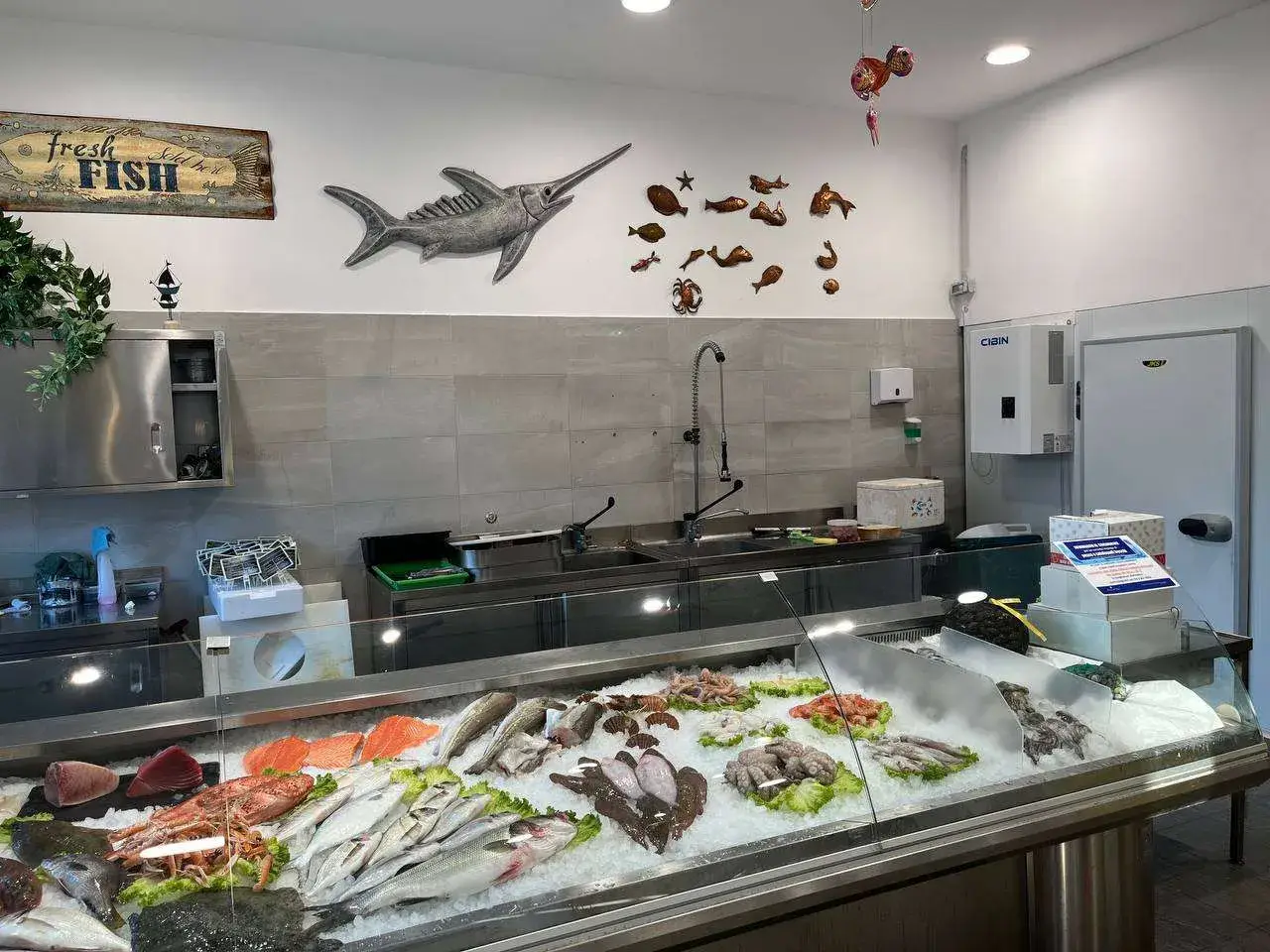 Alimentari - Gastronomia in , Mogliano Veneto, {3} - Foto 1