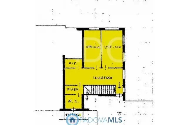 insertion image