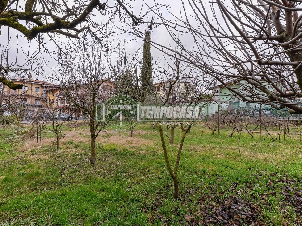 immagine annuncio 5 di 12