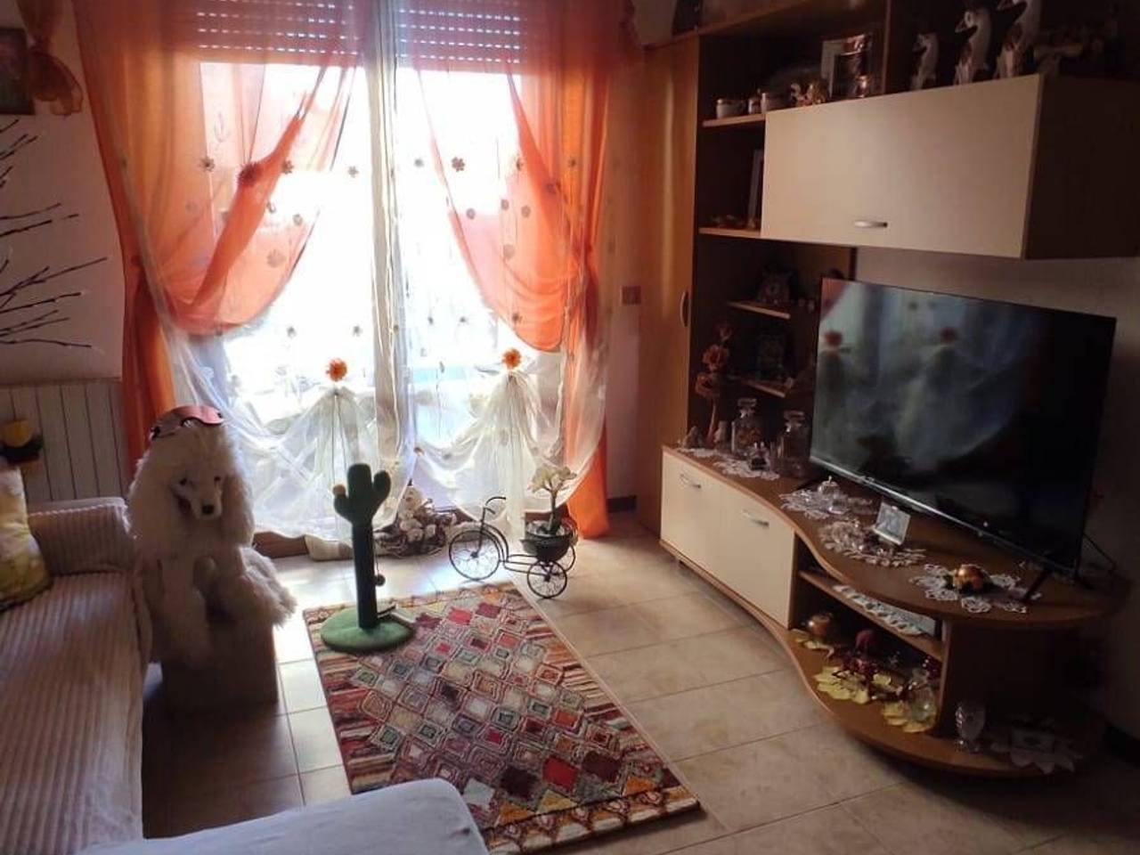 immagine annuncio 1 di 12