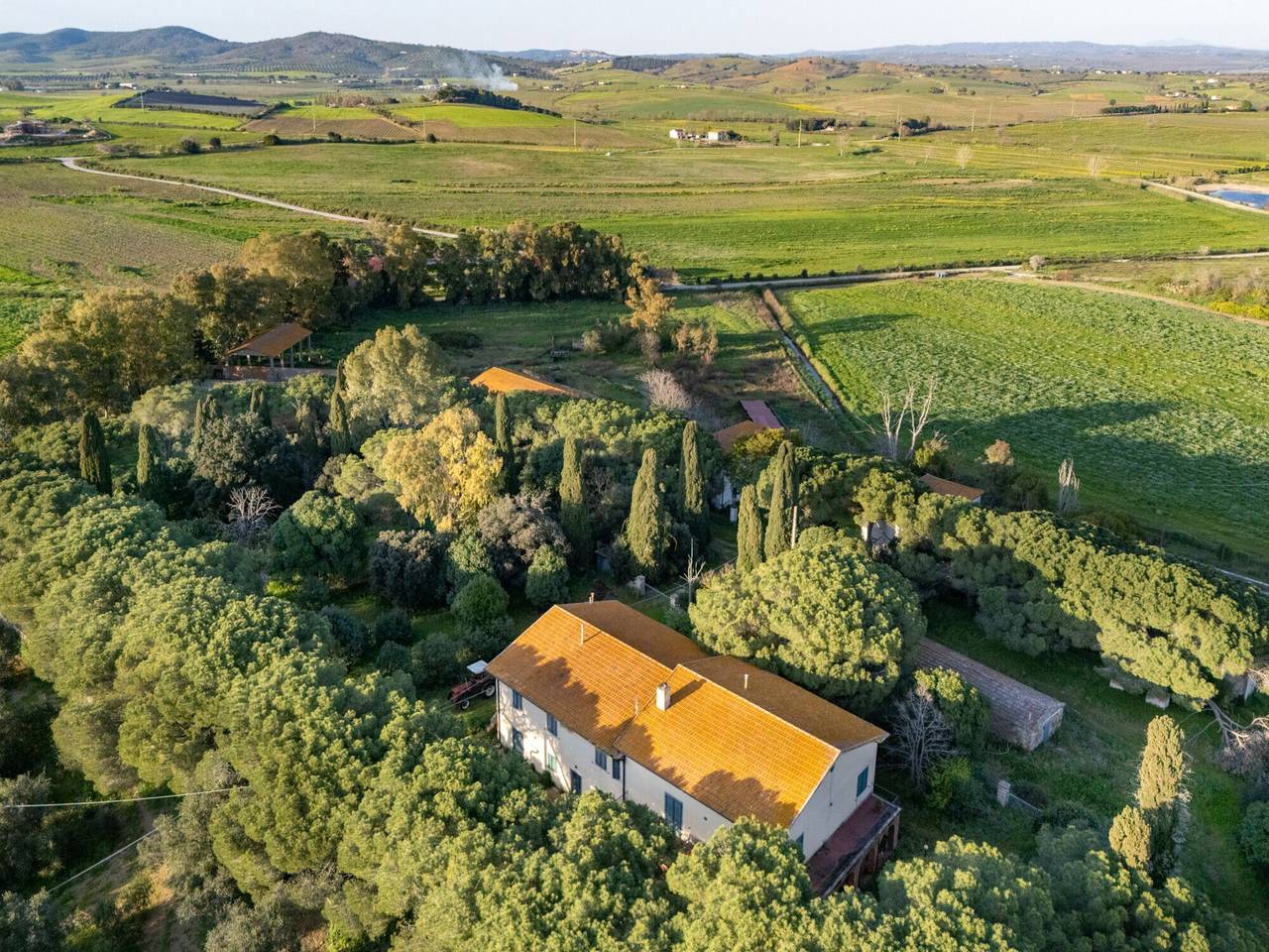 immagine annuncio 11 di 13