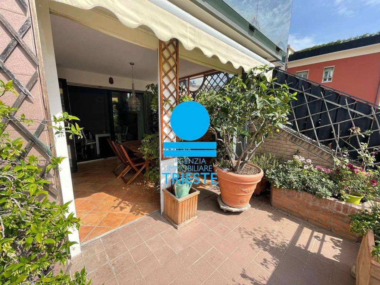 immagine annuncio 6 di 13