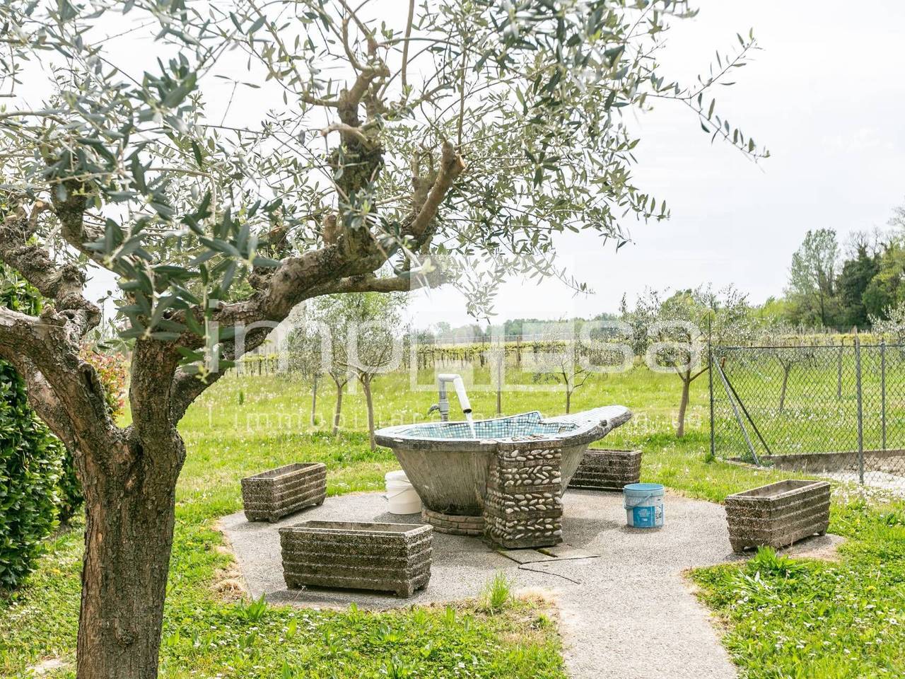 immagine annuncio 2 di 15