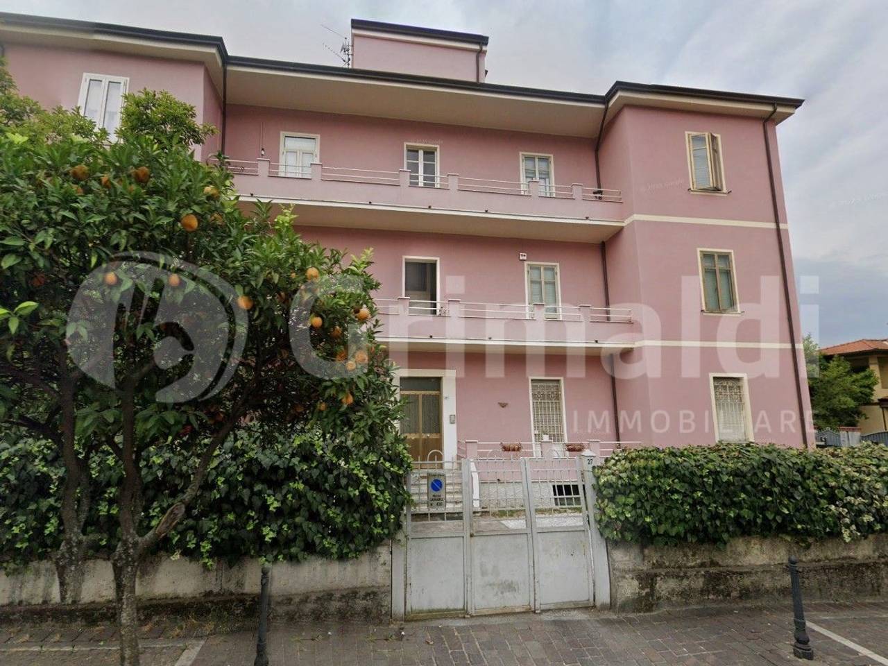 immagine annuncio 12 di 14