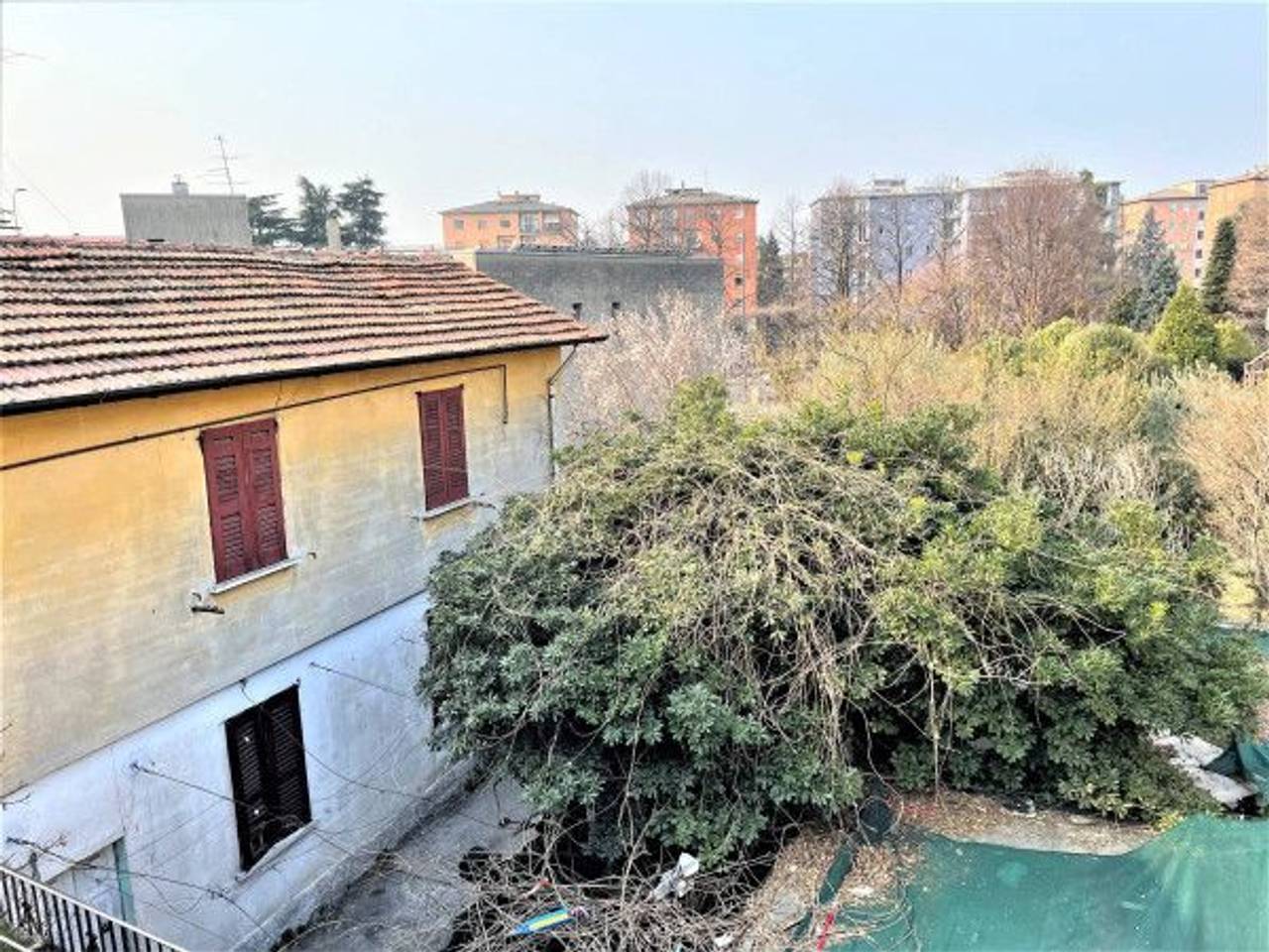 immagine annuncio 4 di 14